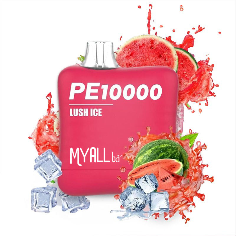 OEM Custom PM 10000 Puffs Disposable Vape