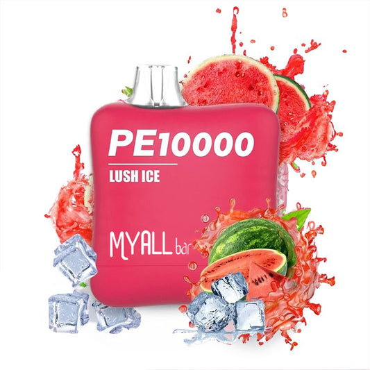 OEM Custom PM 10000 Puffs Disposable Vape